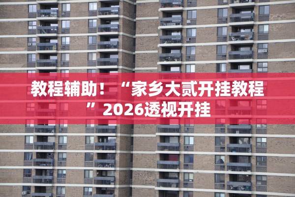 教程辅助！“家乡大贰开挂教程”2026透视开挂