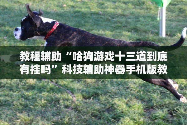教程辅助“哈狗游戏十三道到底有挂吗	”科技辅助神器手机版教程