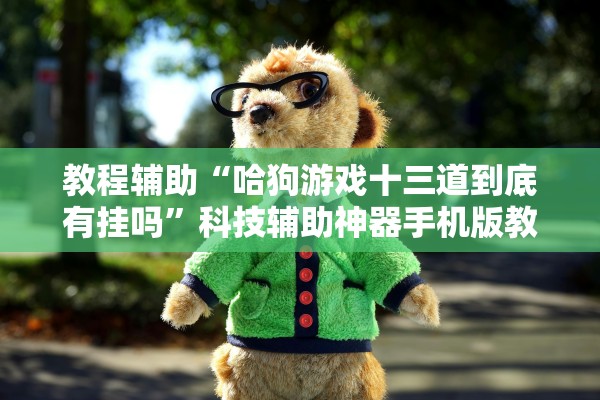 教程辅助“哈狗游戏十三道到底有挂吗”科技辅助神器手机版教程