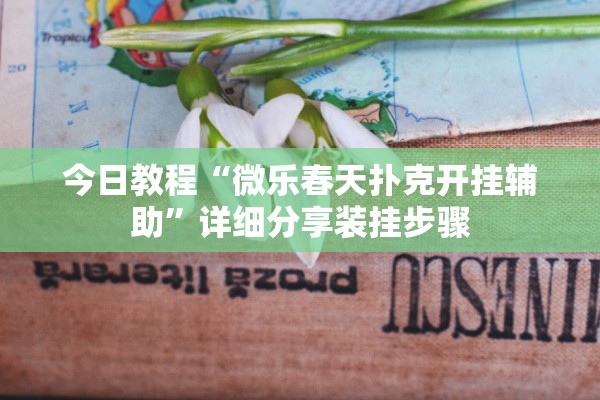 今日教程“微乐春天扑克开挂辅助	”详细分享装挂步骤