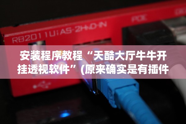 安装程序教程“天酷大厅牛牛开挂透视软件”(原来确实是有插件)