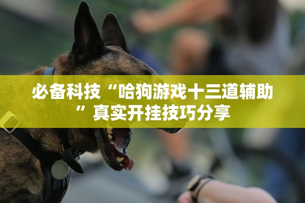 必备科技“哈狗游戏十三道辅助	”真实开挂技巧分享