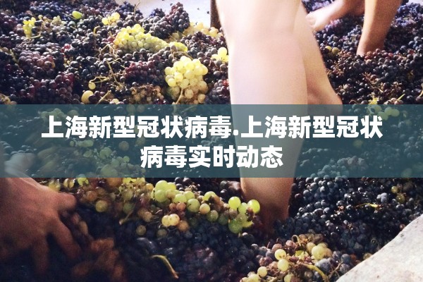 上海新型冠状病毒.上海新型冠状病毒实时动态