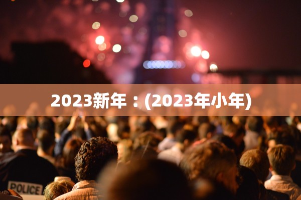 2023新年︰(2023年小年)