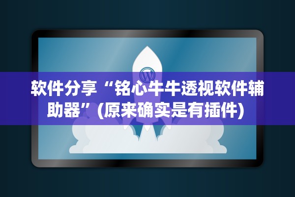 软件分享“铭心牛牛透视软件辅助器”(原来确实是有插件) 
