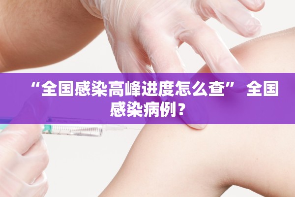 “全国感染高峰进度怎么查” 全国感染病例？