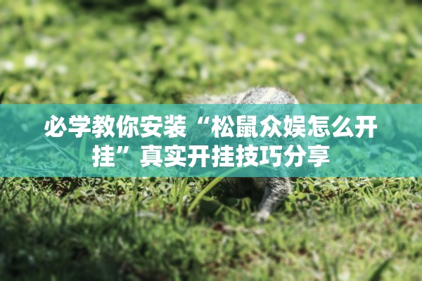 必学教你安装“松鼠众娱怎么开挂”真实开挂技巧分享