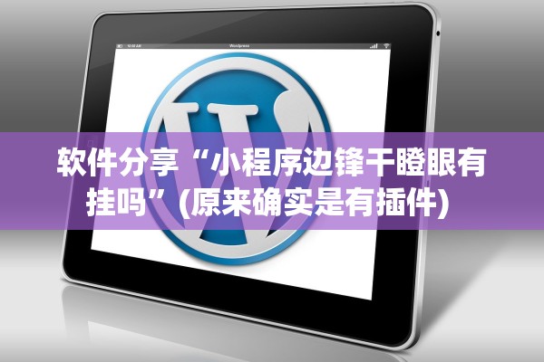 软件分享“小程序边锋干瞪眼有挂吗”(原来确实是有插件) 