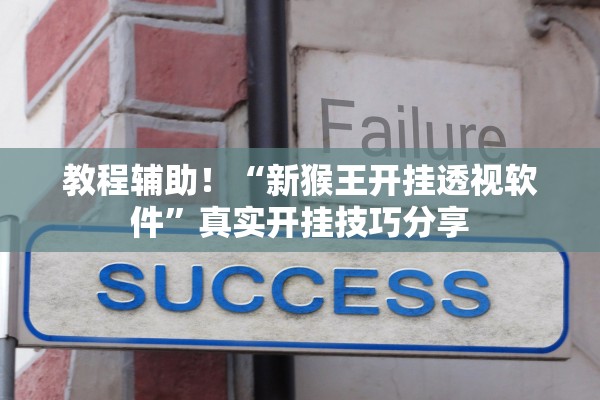 教程辅助！“新猴王开挂透视软件”真实开挂技巧分享