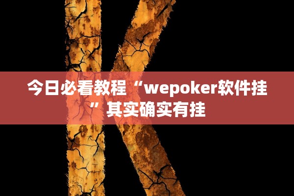 今日必看教程“wepoker软件挂”其实确实有挂