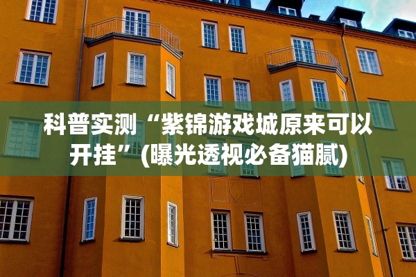 科普实测“紫锦游戏城原来可以开挂”(曝光透视必备猫腻)