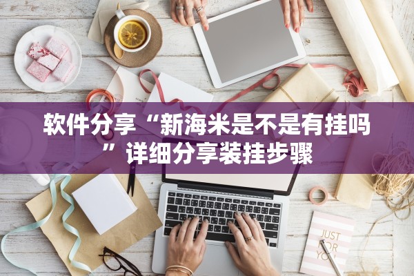 软件分享“新海米是不是有挂吗”详细分享装挂步骤