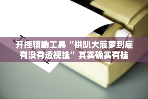 开挂辅助工具“拱趴大菠萝到底有没有透视挂”其实确实有挂