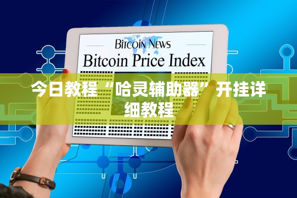 今日教程“哈灵辅助器	”开挂详细教程