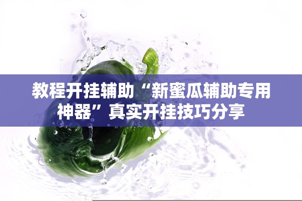 教程开挂辅助“新蜜瓜辅助专用神器	”真实开挂技巧分享