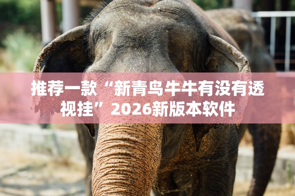 推荐一款“新青鸟牛牛有没有透视挂”2026新版本软件