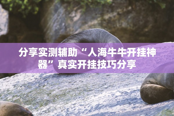 分享实测辅助“人海牛牛开挂神器”真实开挂技巧分享