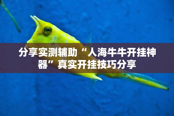 分享实测辅助“人海牛牛开挂神器”真实开挂技巧分享