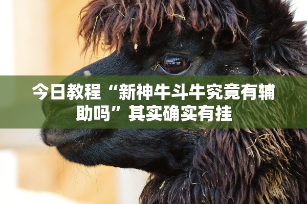 今日教程“新神牛斗牛究竟有辅助吗	”其实确实有挂