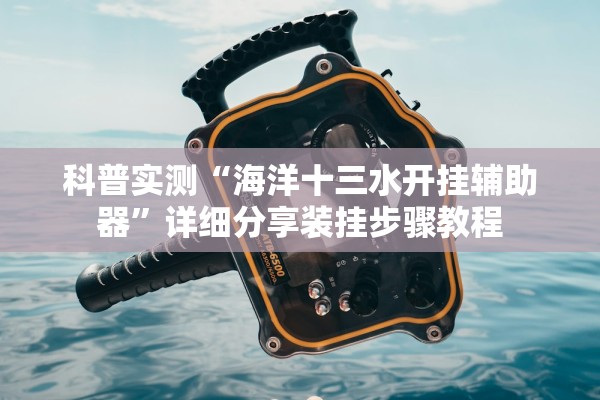 科普实测“海洋十三水开挂辅助器”详细分享装挂步骤教程