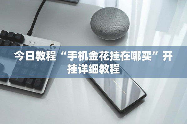 今日教程“手机金花挂在哪买”开挂详细教程