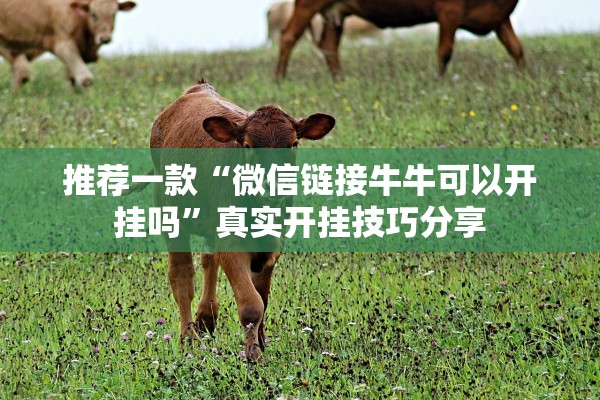 推荐一款“微信链接牛牛可以开挂吗	”真实开挂技巧分享