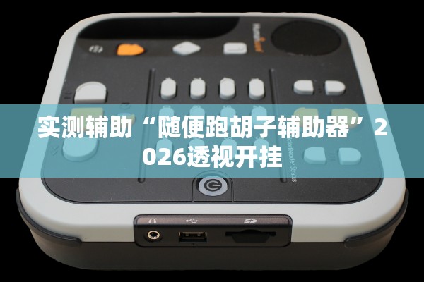 实测辅助“随便跑胡子辅助器	”2026透视开挂