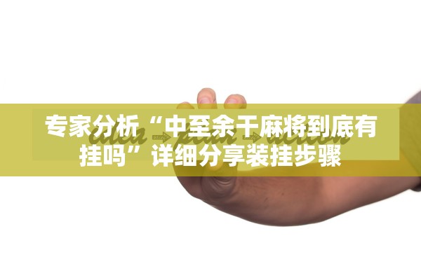 专家分析“中至余干麻将到底有挂吗”详细分享装挂步骤