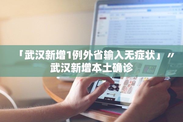 「武汉新增1例外省输入无症状」〃武汉新增本土确诊