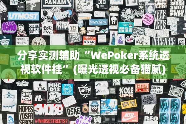分享实测辅助“WePoker系统透视软件挂”(曝光透视必备猫腻)