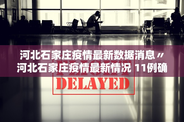 河北石家庄疫情最新数据消息〃河北石家庄疫情最新情况 11例确诊