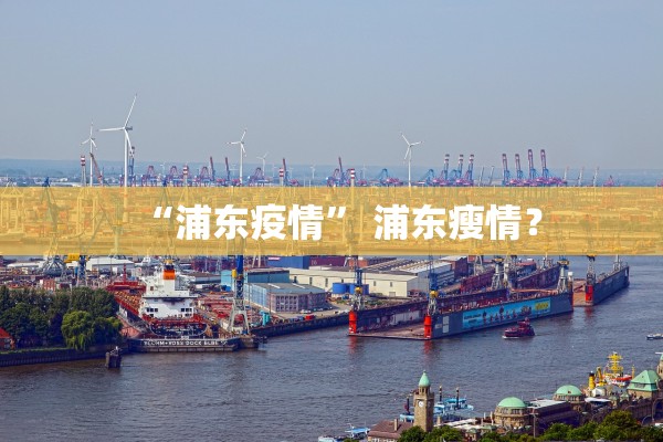“浦东疫情	” 浦东瘦情？