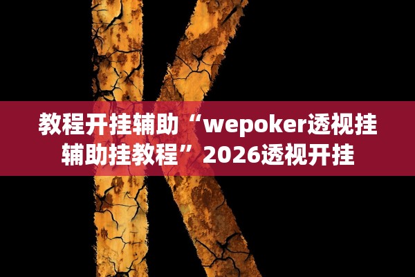 教程开挂辅助“wepoker透视挂辅助挂教程”2026透视开挂