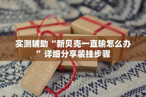 实测辅助“新贝壳一直输怎么办	”详细分享装挂步骤