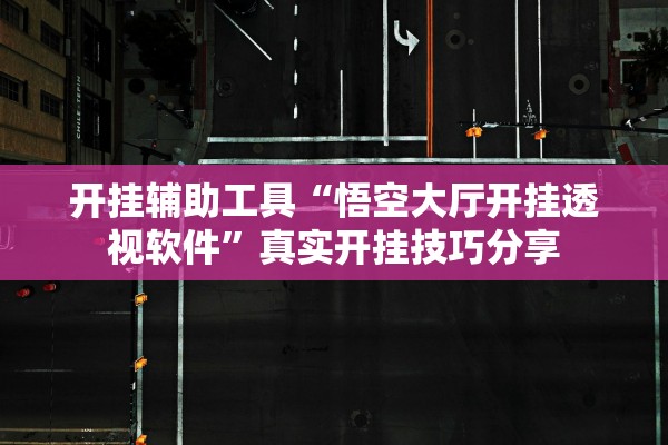 开挂辅助工具“悟空大厅开挂透视软件”真实开挂技巧分享