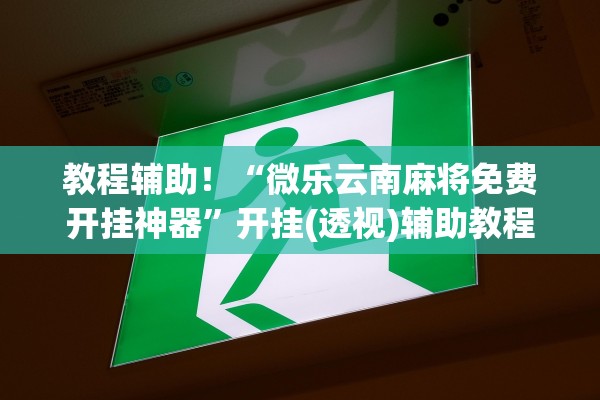 教程辅助！“微乐云南麻将免费开挂神器”开挂(透视)辅助教程