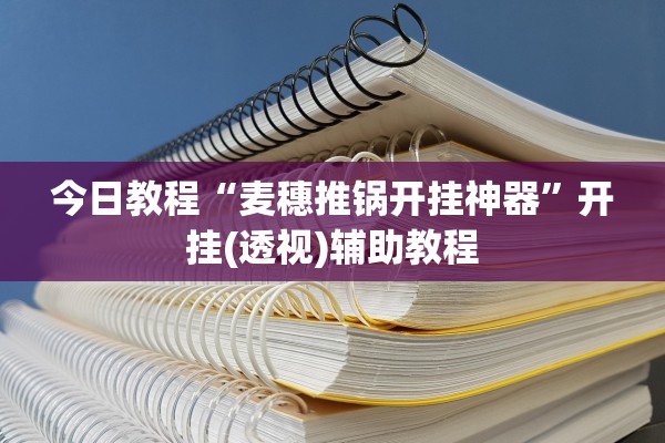今日教程“麦穗推锅开挂神器”开挂(透视)辅助教程