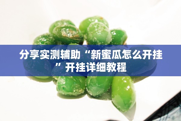 分享实测辅助“新蜜瓜怎么开挂”开挂详细教程