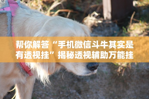 帮你解答“手机微信斗牛其实是有透视挂”揭秘透视辅助万能挂用法