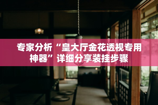 专家分析“皇大厅金花透视专用神器”详细分享装挂步骤