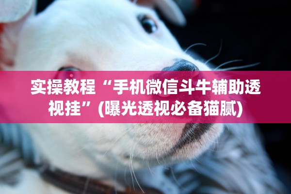 实操教程“手机微信斗牛辅助透视挂”(曝光透视必备猫腻)