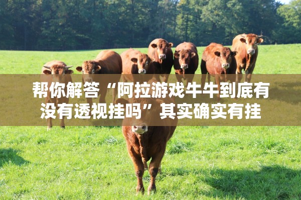 帮你解答“阿拉游戏牛牛到底有没有透视挂吗	”其实确实有挂