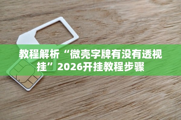 教程解析“微壳字牌有没有透视挂	”2026开挂教程步骤