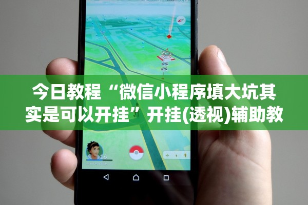 今日教程“微信小程序填大坑其实是可以开挂	”开挂(透视)辅助教程