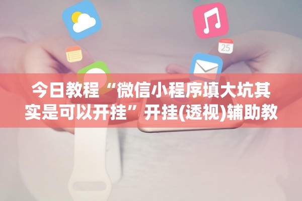今日教程“微信小程序填大坑其实是可以开挂”开挂(透视)辅助教程