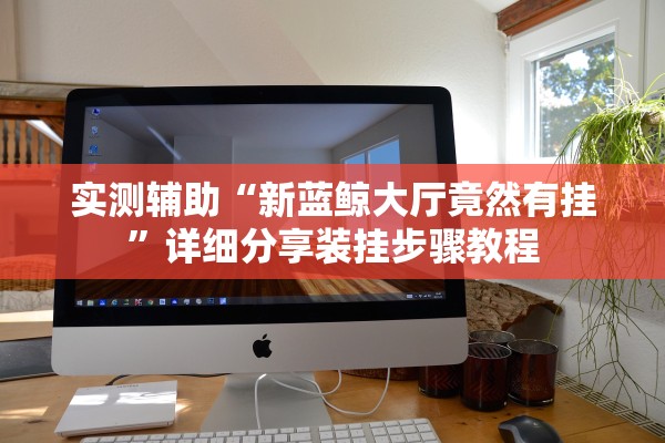 实测辅助“新蓝鲸大厅竟然有挂	”详细分享装挂步骤教程