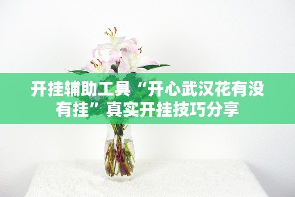 开挂辅助工具“开心武汉花有没有挂”真实开挂技巧分享