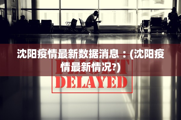 沈阳疫情最新数据消息︰(沈阳疫情最新情况?)
