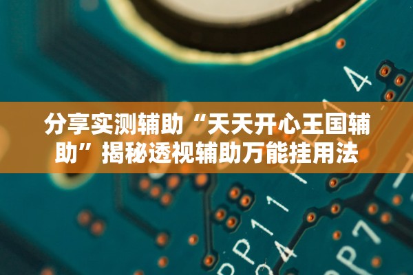 分享实测辅助“天天开心王国辅助	”揭秘透视辅助万能挂用法