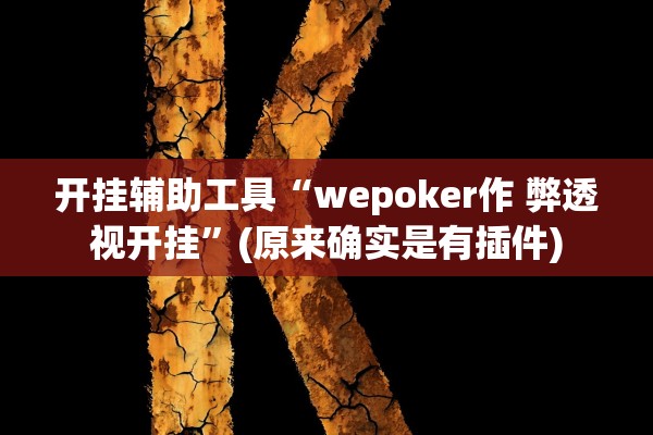 开挂辅助工具“wepoker作 弊透视开挂	”(原来确实是有插件)